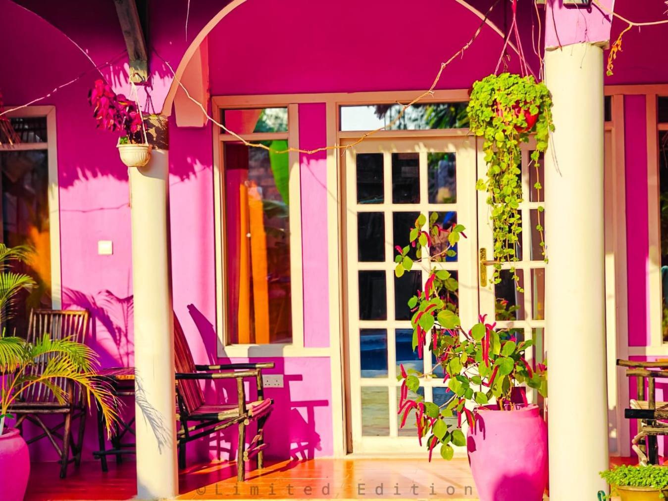Nungwi Roses Villa Exterior photo